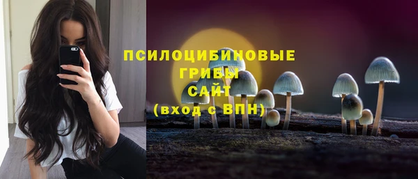 молекула духа Алзамай