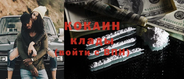 гашик Алексеевка