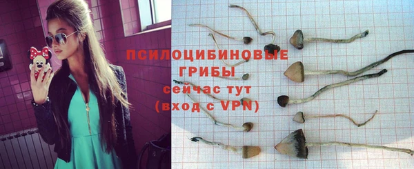 гашик Алексеевка