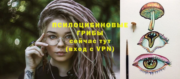 гашик Алексеевка
