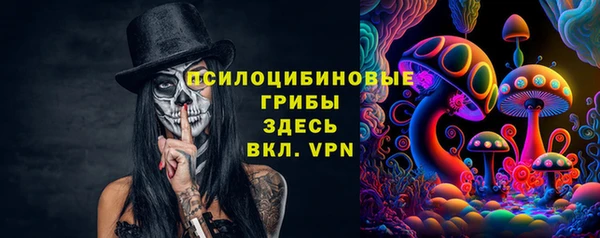 молекула духа Алзамай