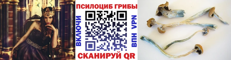 Галлюциногенные грибы GOLDEN TEACHER  цены   Жиздра 